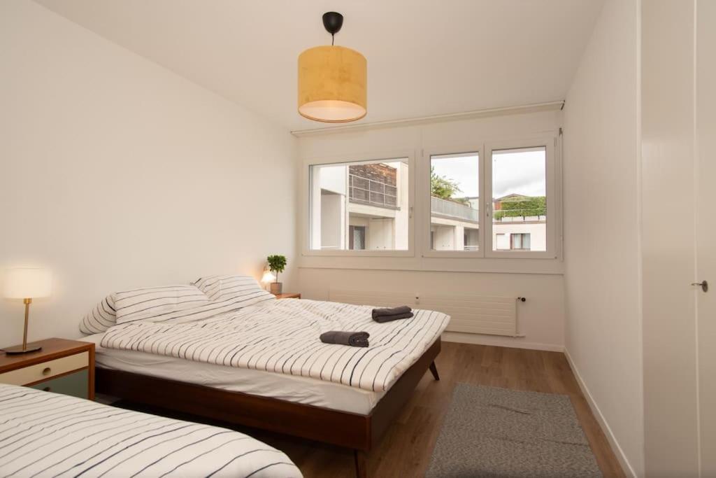 Spacious Apartment Next To Rhine Βασιλεία Εξωτερικό φωτογραφία